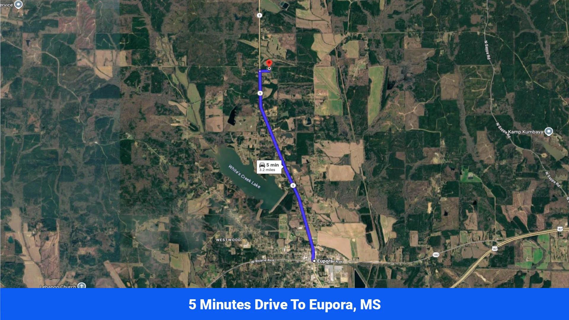 Decorative background for 7 Buildable Tracts Near Eupora, MS image 13