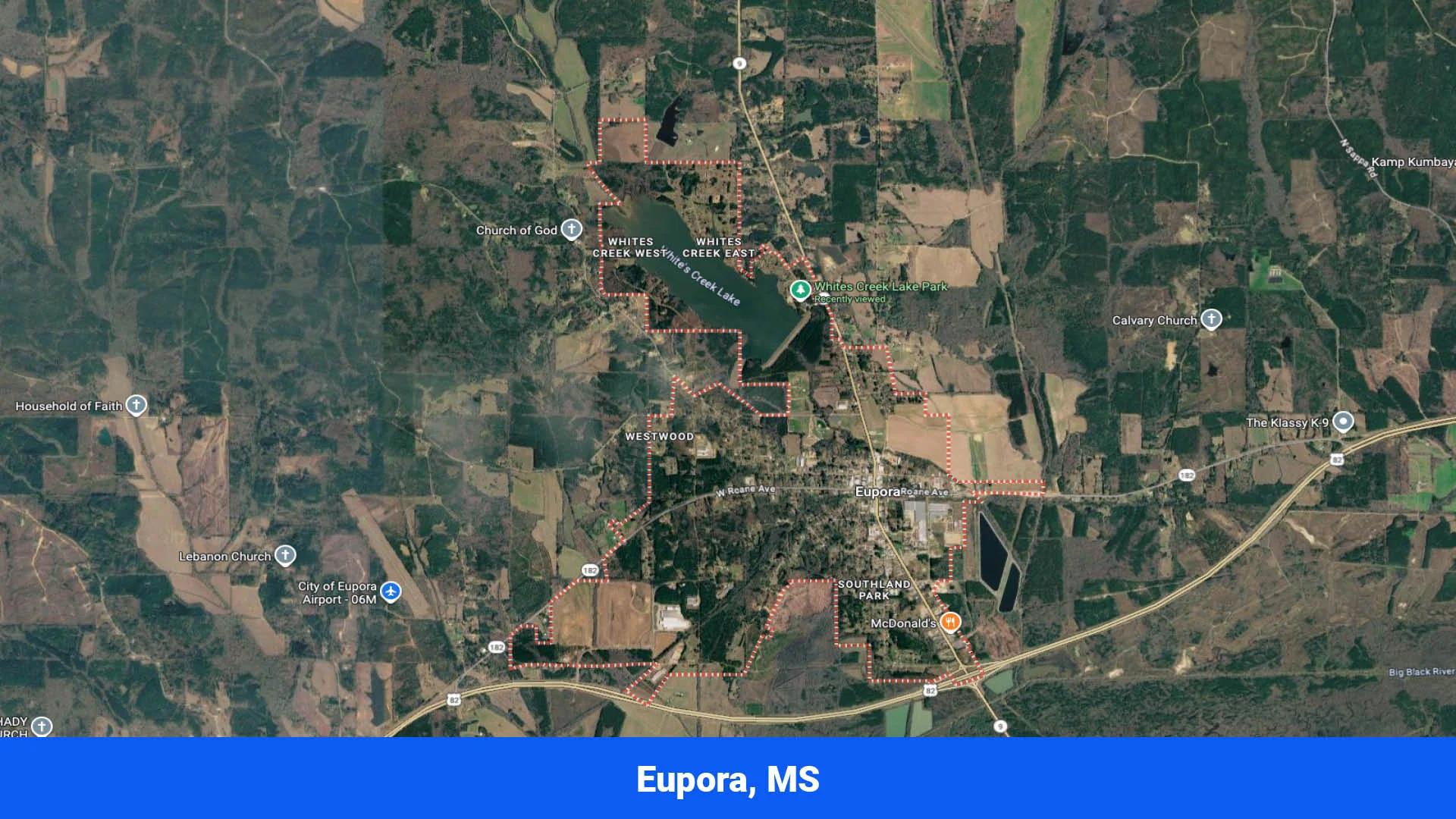 Decorative background for 7 Buildable Tracts Near Eupora, MS image 14