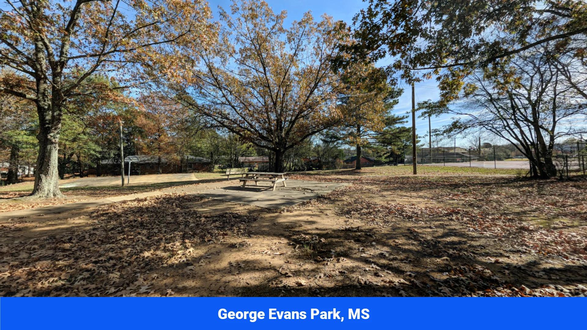 Decorative background for 7 Buildable Tracts Near Eupora, MS image 18