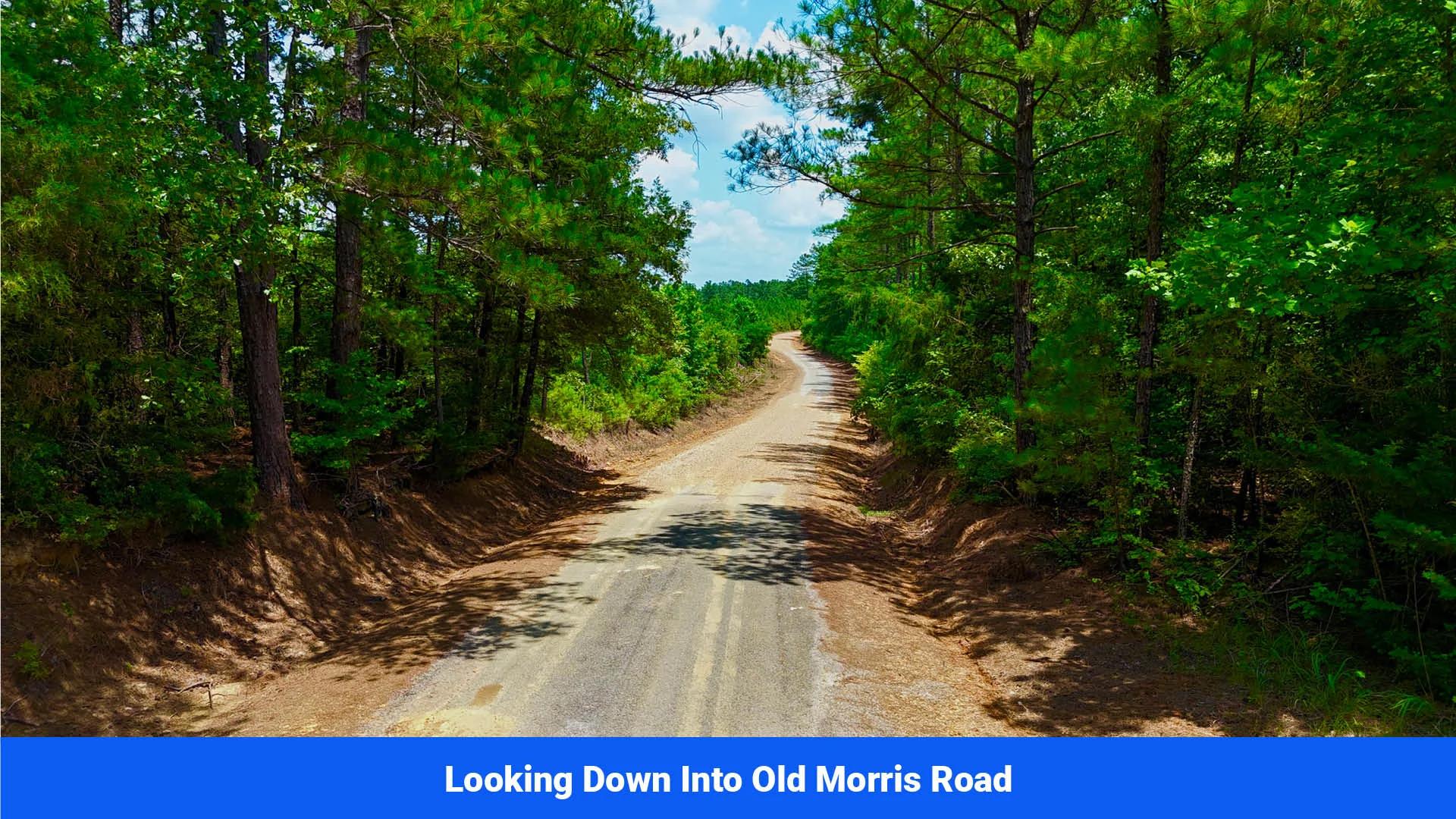Decorative background for 7 Buildable Tracts Near Eupora, MS image 31