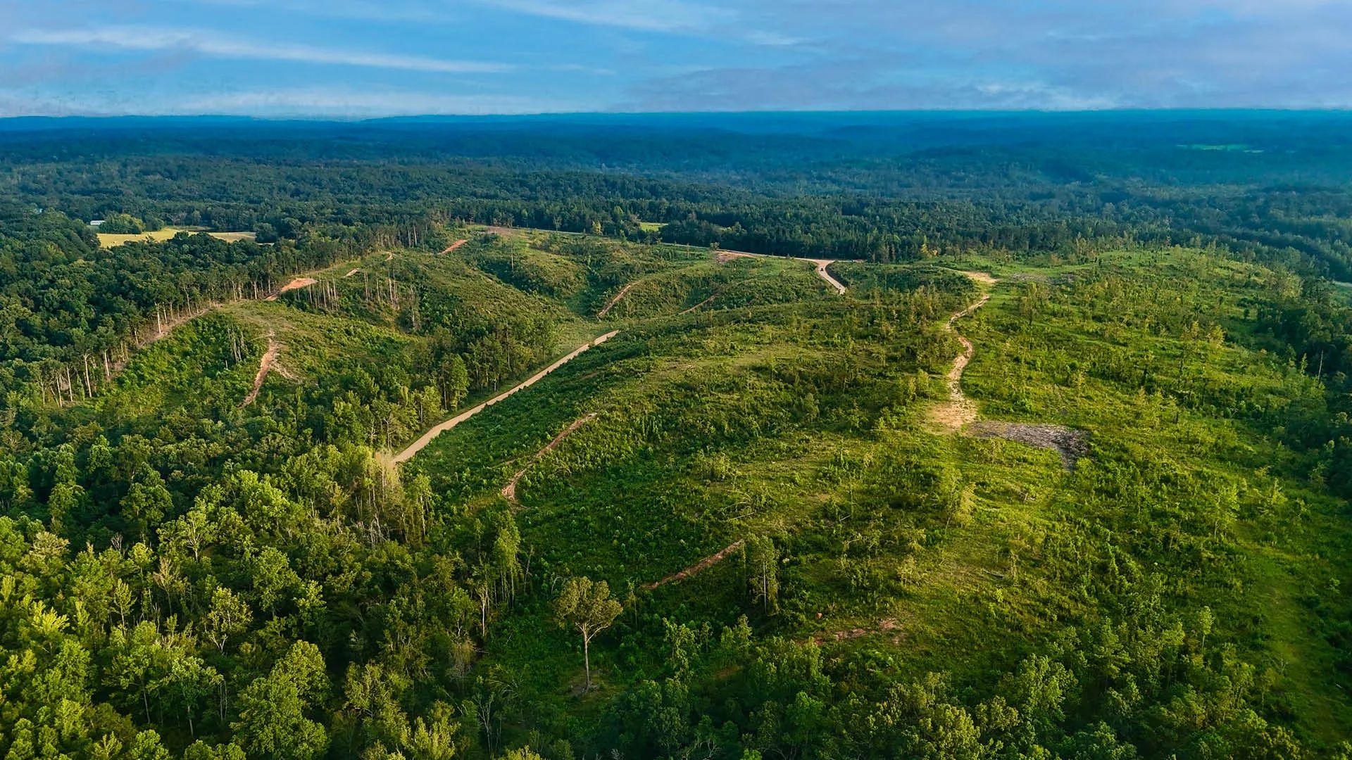 Old Hatchie Bend — 18 Lots, Alcorn County, Mississippi in Alcorn County, MS