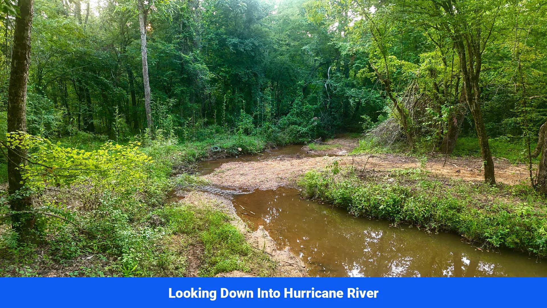 Decorative background for Old Hatchie Bend — 18 Lots, Alcorn County, Mississippi image 31