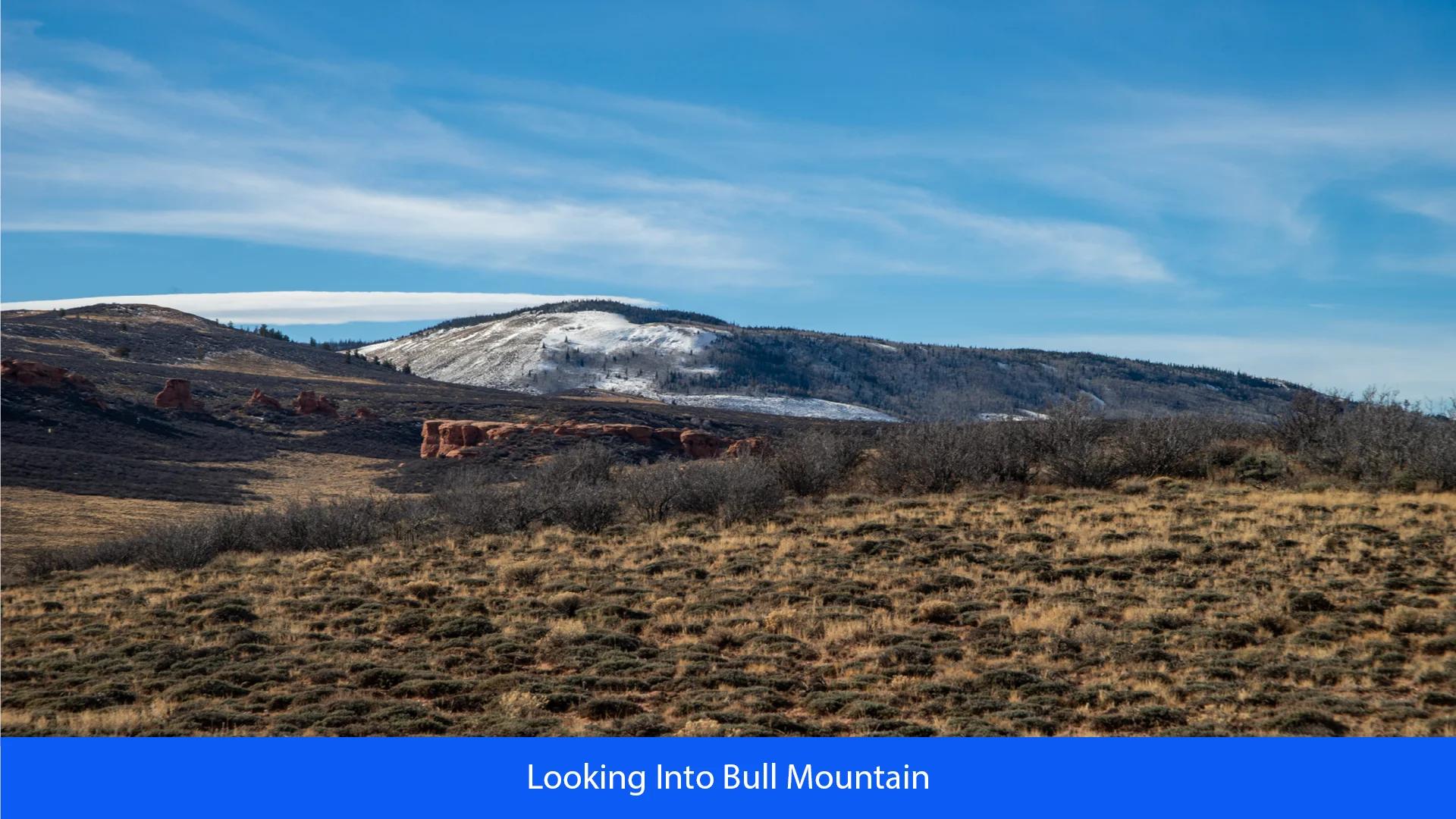 Decorative background for 36.8 Acres Of Red Rock Majesty In Larimer County, Colorado image 6