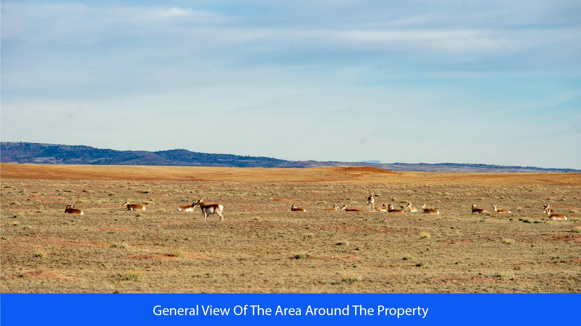Decorative background for 36.8 Acres Of Red Rock Majesty In Larimer County, Colorado image 18