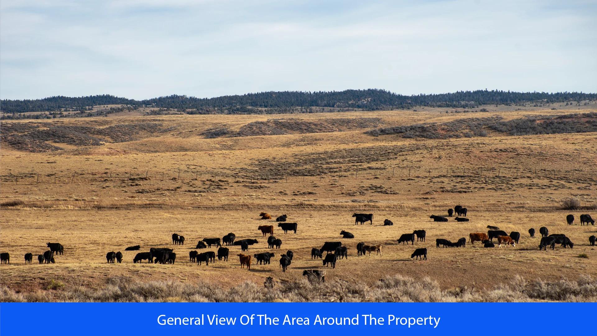 Decorative background for 36.8 Acres Of Red Rock Majesty In Larimer County, Colorado image 21