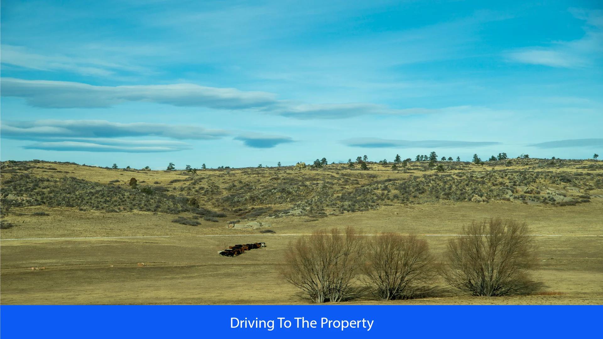 Decorative background for 36.8 Acres Of Red Rock Majesty In Larimer County, Colorado image 30