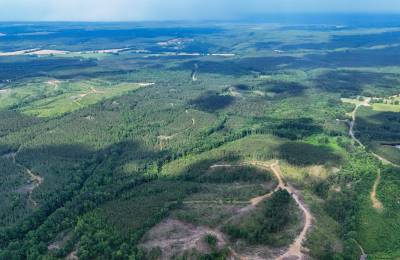 Webster, Mississippi’s Hidden Gem: Luxury 8‑Lot Subdivision!