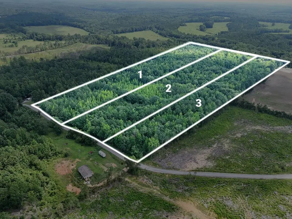 Golden Pine Reserves - Itawamba MS in Itawamba County, Mississippi