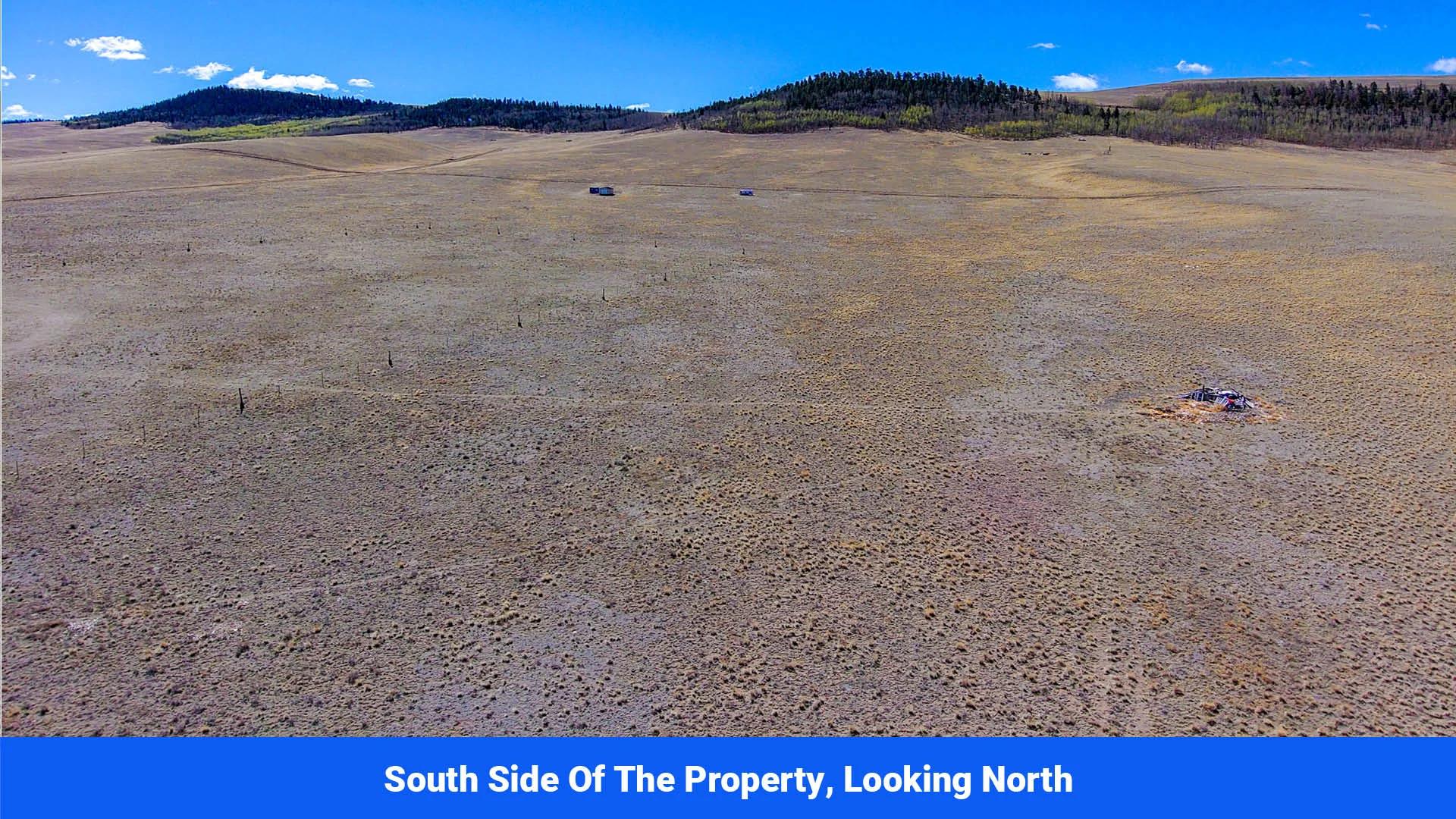 Decorative background for Wide-Open Skies & Endless Possibilities on 4.99 Acres in Park County, CO image 11