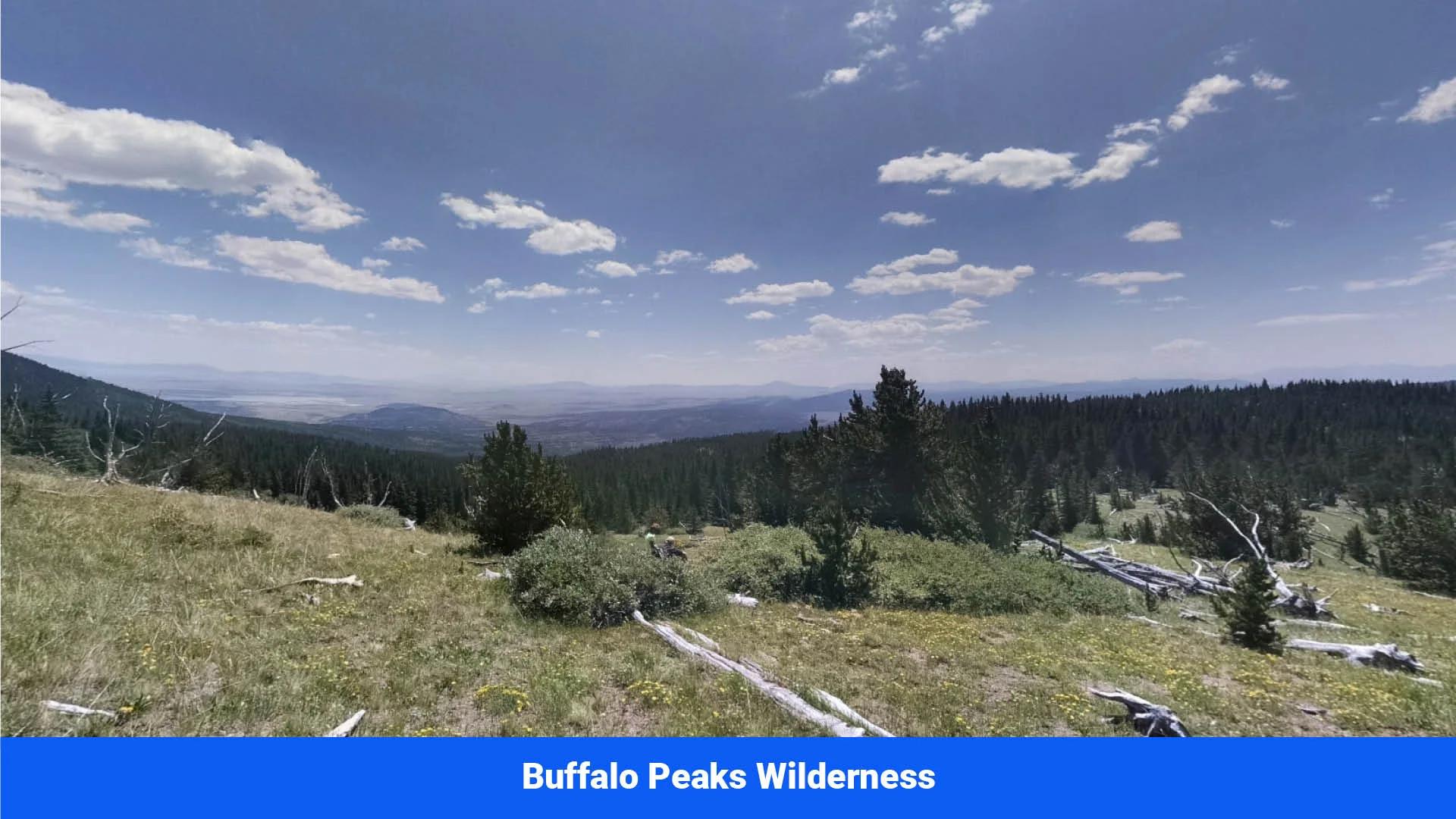 Decorative background for Wide-Open Skies & Endless Possibilities on 4.99 Acres in Park County, CO image 18