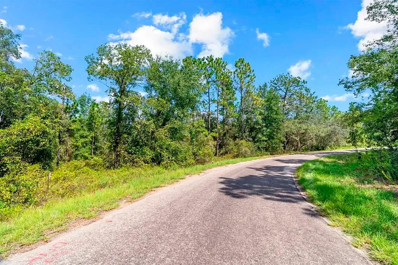 Spacious Building Lot with Power close to Lake Weir - Image 4