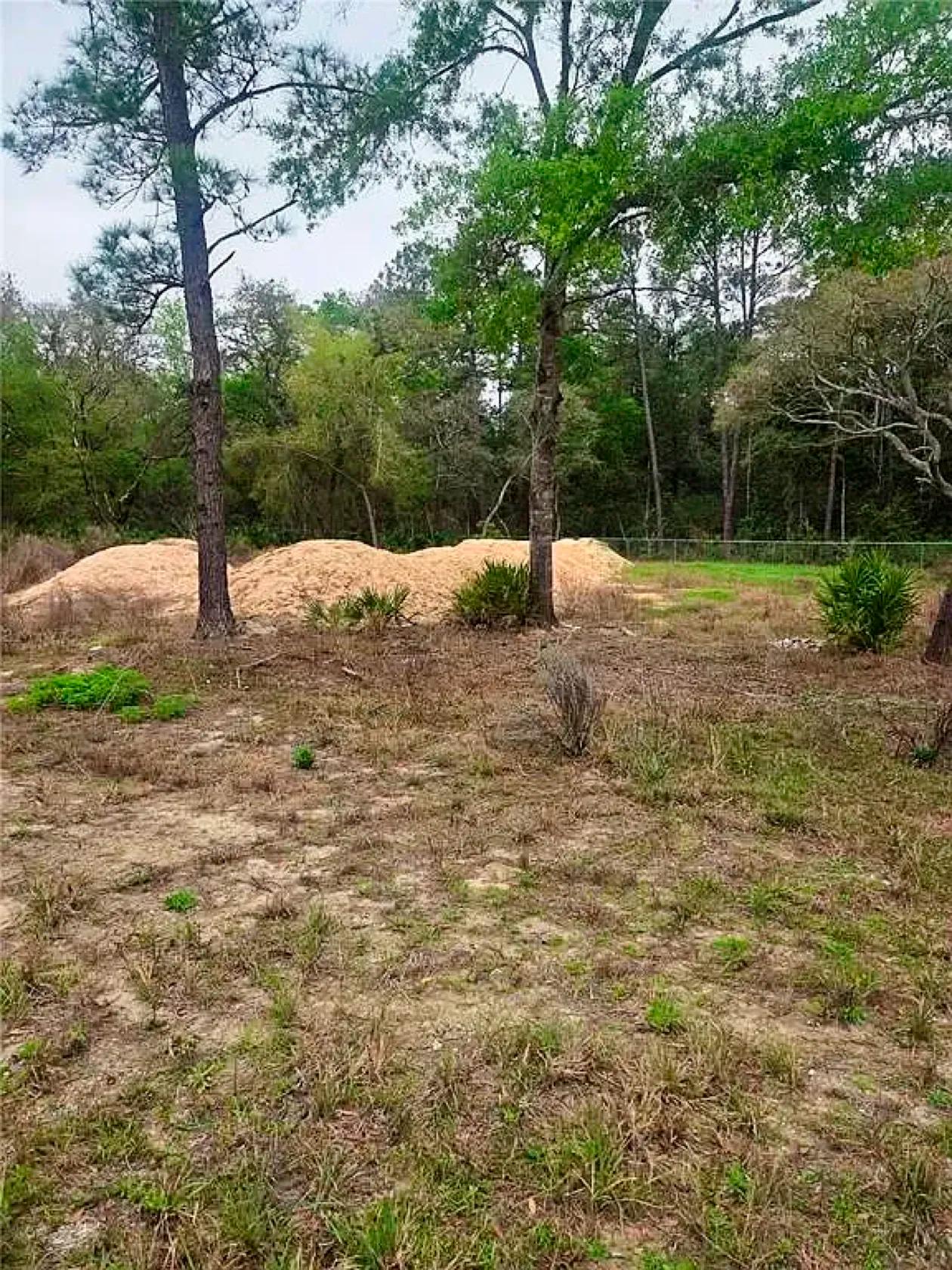 Decorative background for Spacious Building Lot with Power close to Lake Weir image 5