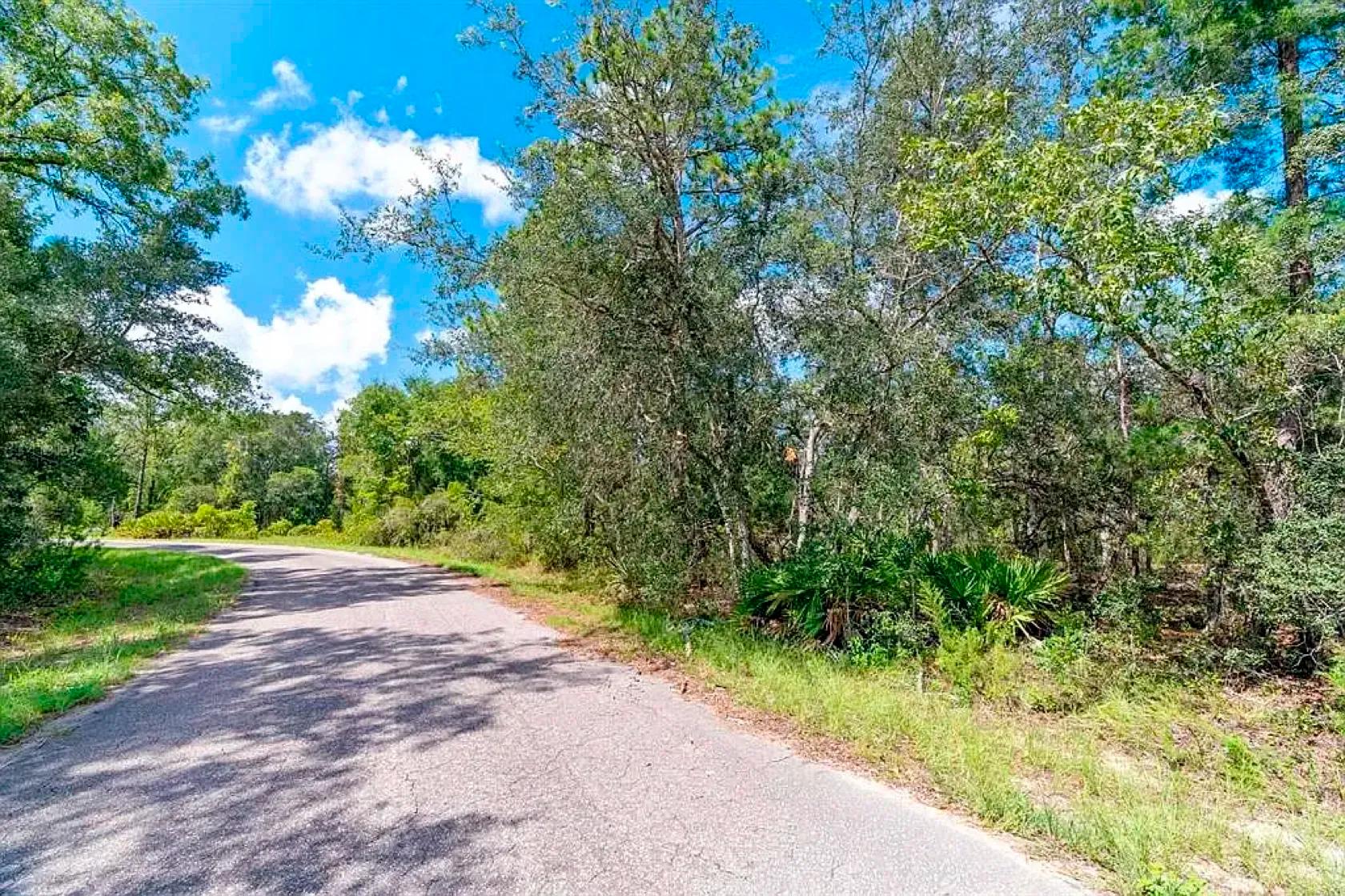 Decorative background for Spacious Building Lot with Power close to Lake Weir image 9
