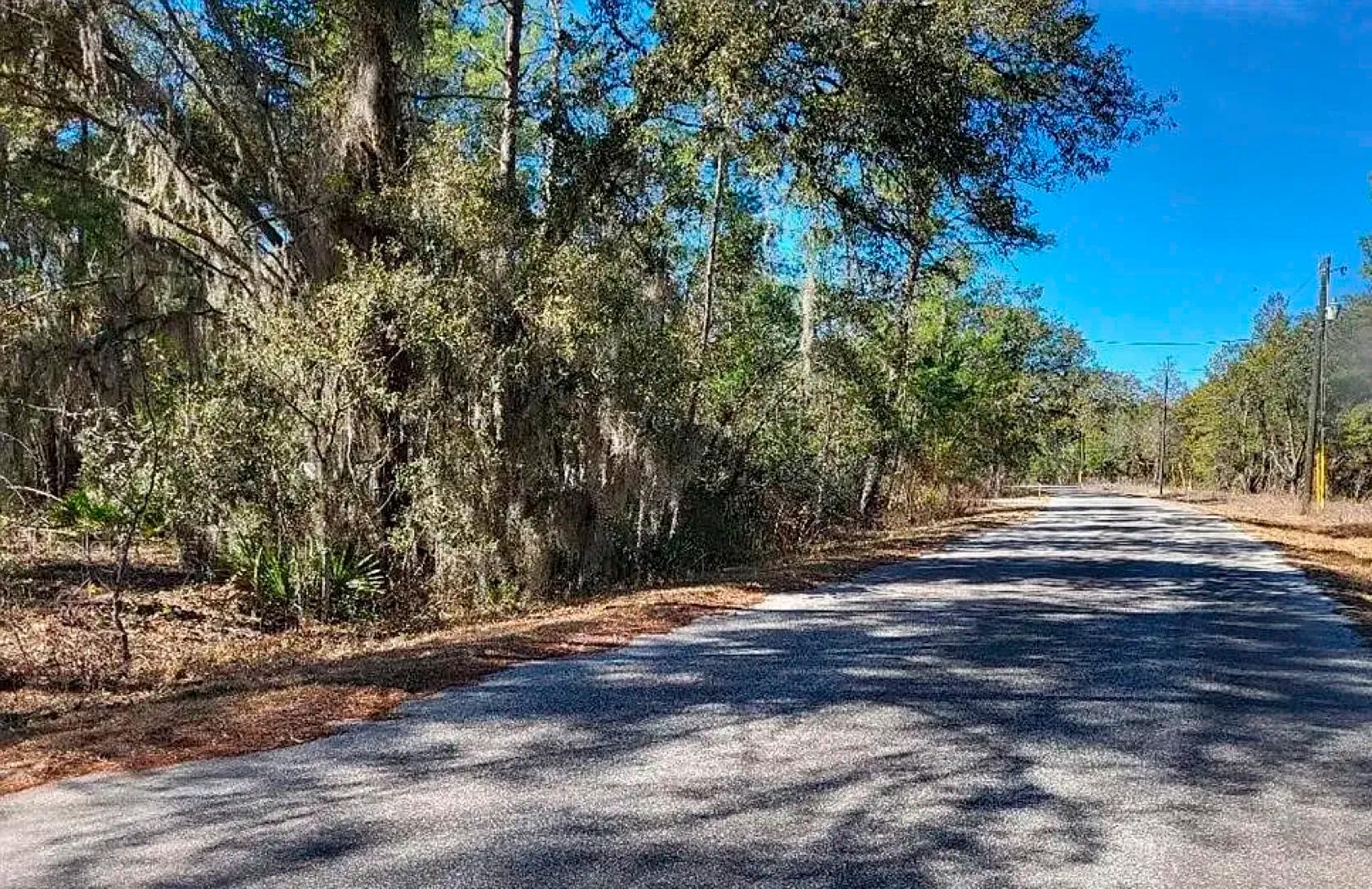 Decorative background for Spacious Building Lot with Power close to Lake Weir image 10