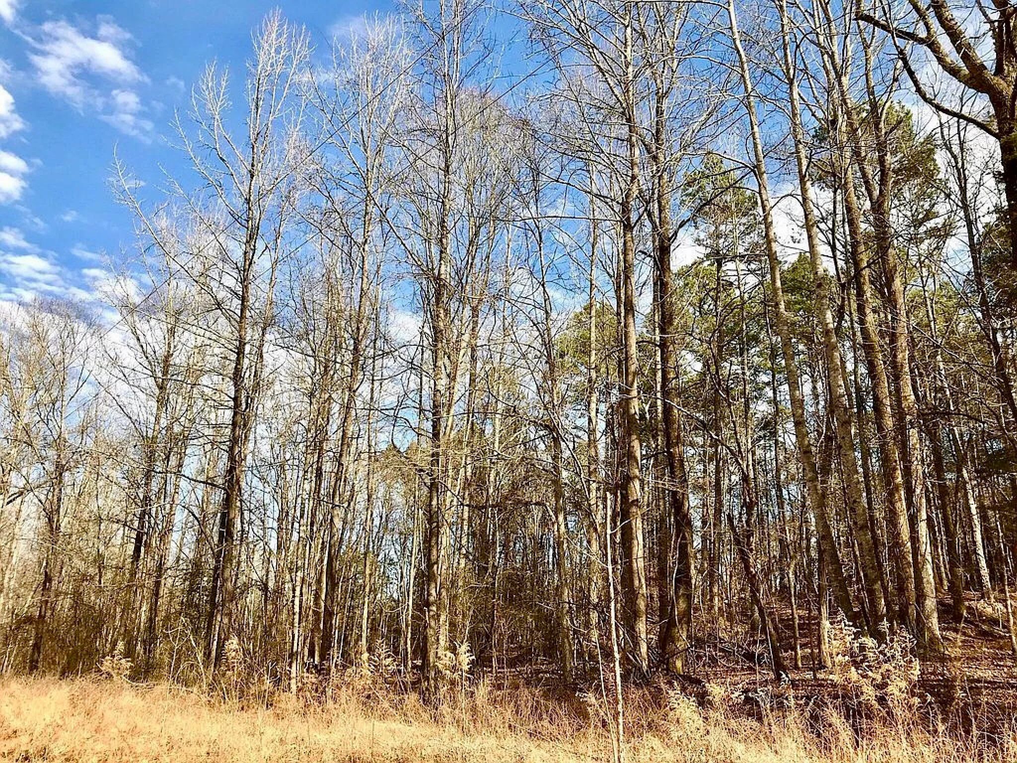 GRAND VALLEY LAKES! Beautiful 0.69 ac building lot in gated community ✅ in Hardeman County, TN