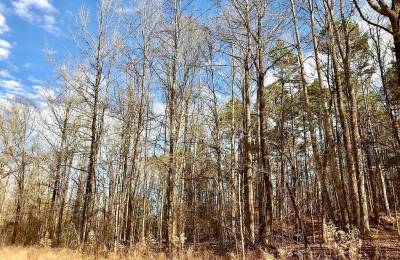 GRAND VALLEY LAKES! Beautiful 0.69 ac building lot in gated community ✅