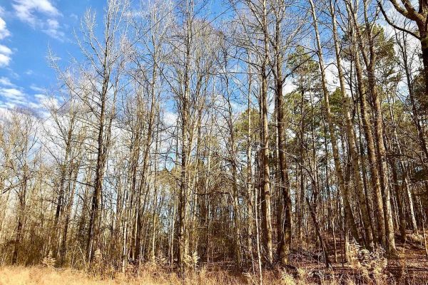 GRAND VALLEY LAKES! Beautiful 0.69 ac building lot in gated community ✅ — Hardeman County, TN