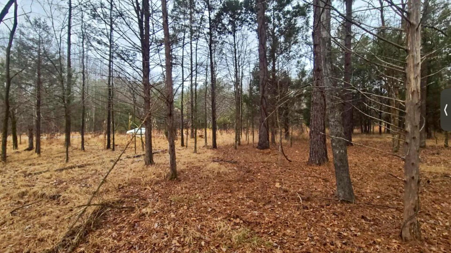 Decorative background for GRAND VALLEY LAKES! Beautiful 0.69 ac building lot in gated community ✅ image 12