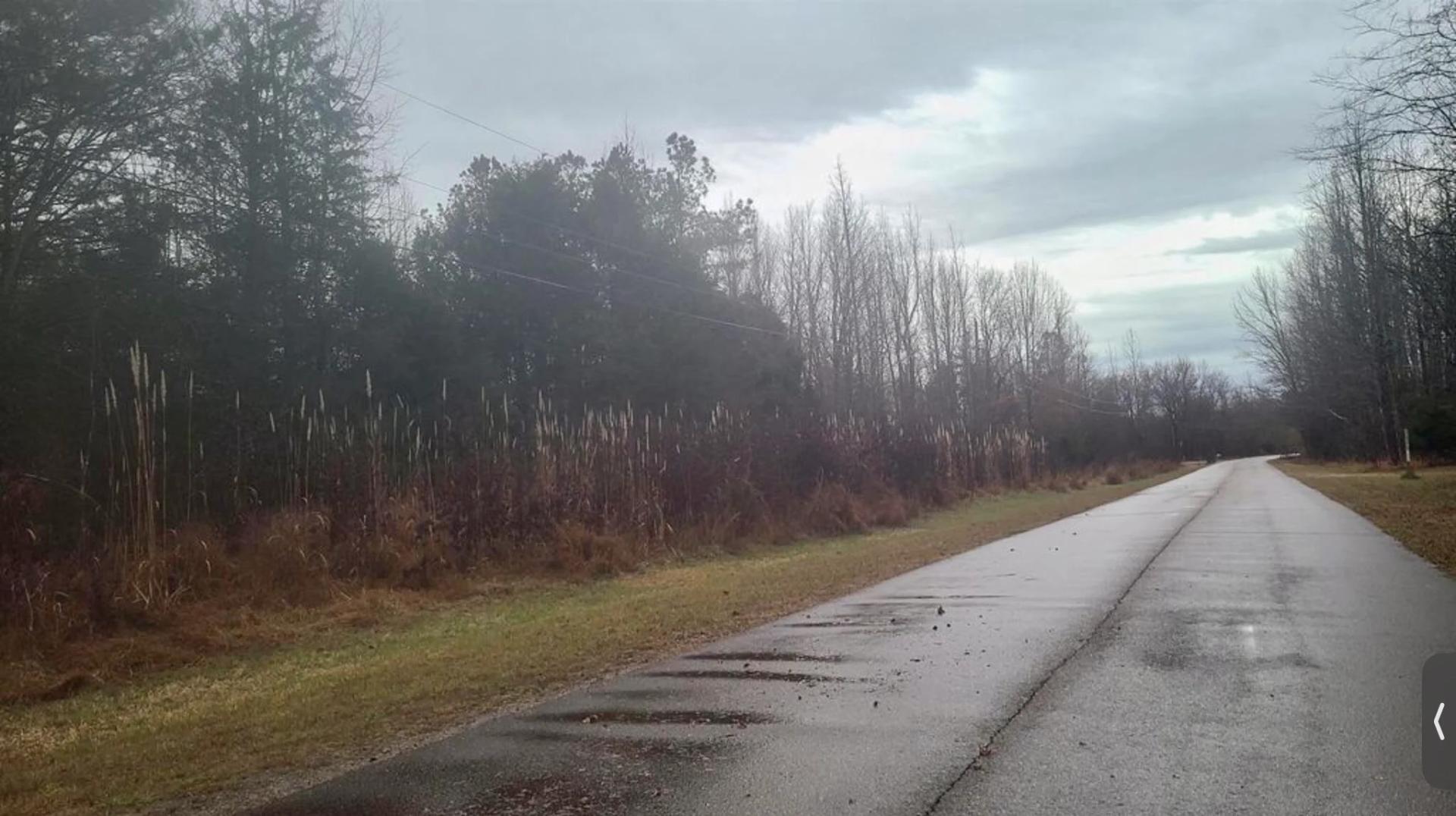 GRAND VALLEY LAKES! Beautiful 0.69 ac building lot in gated community ✅ - Image 4