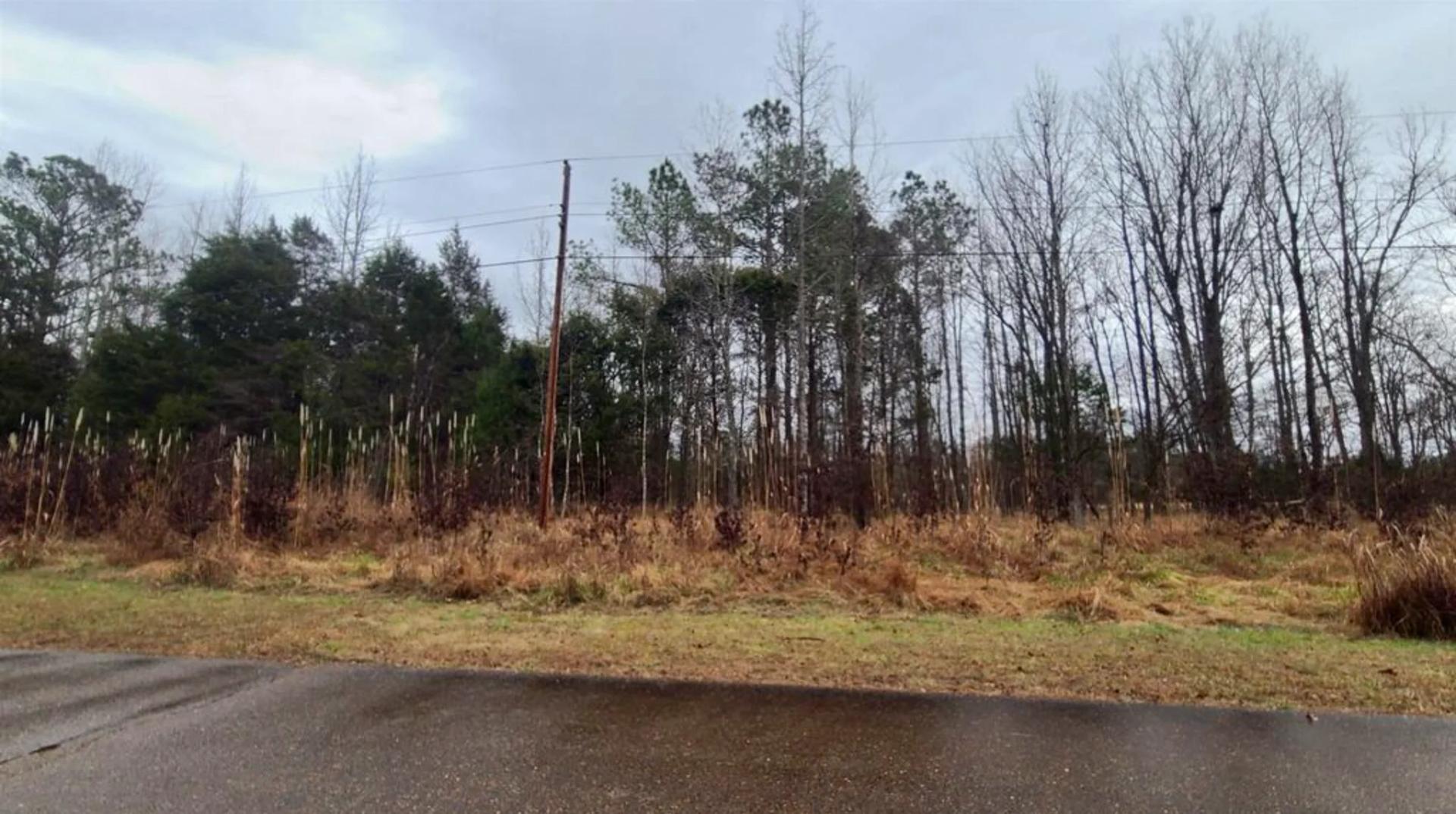 GRAND VALLEY LAKES! Beautiful 0.69 ac building lot in gated community ✅ - Image 3