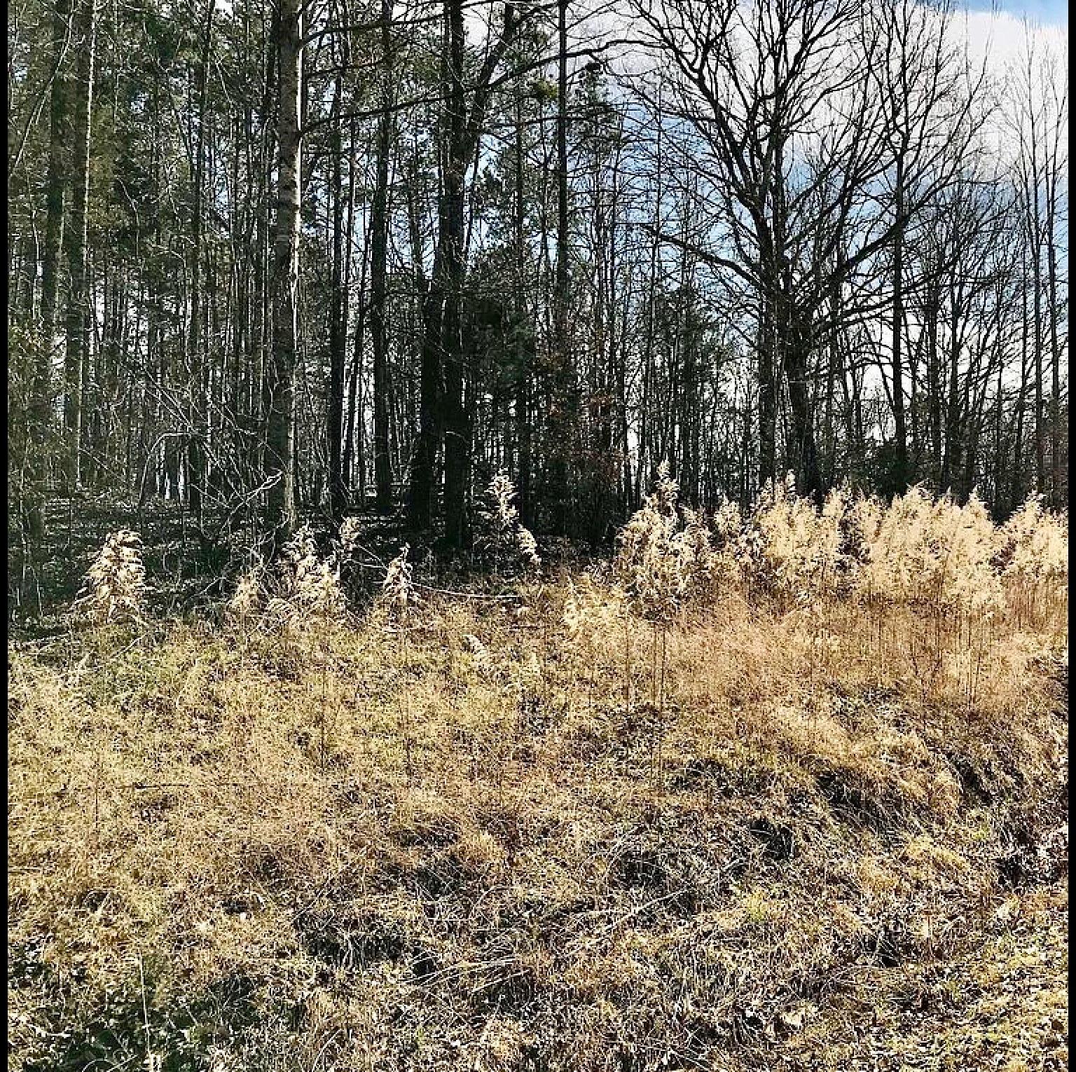 Decorative background for GRAND VALLEY LAKES! Beautiful 0.69 ac building lot in gated community ✅ image 5