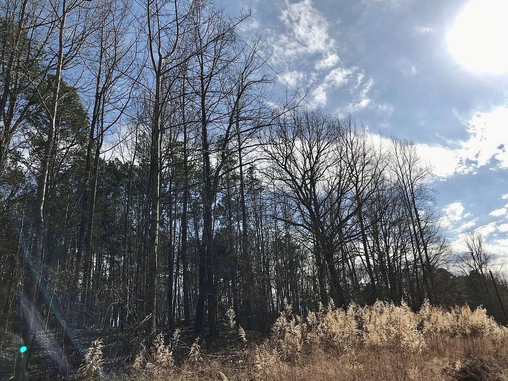 GRAND VALLEY LAKES! Beautiful 0.69 ac building lot in gated community ✅ in Hardeman County, TN