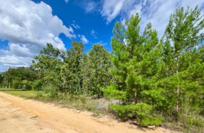 SPACE! Lightly wooded Building Lot with access to Power