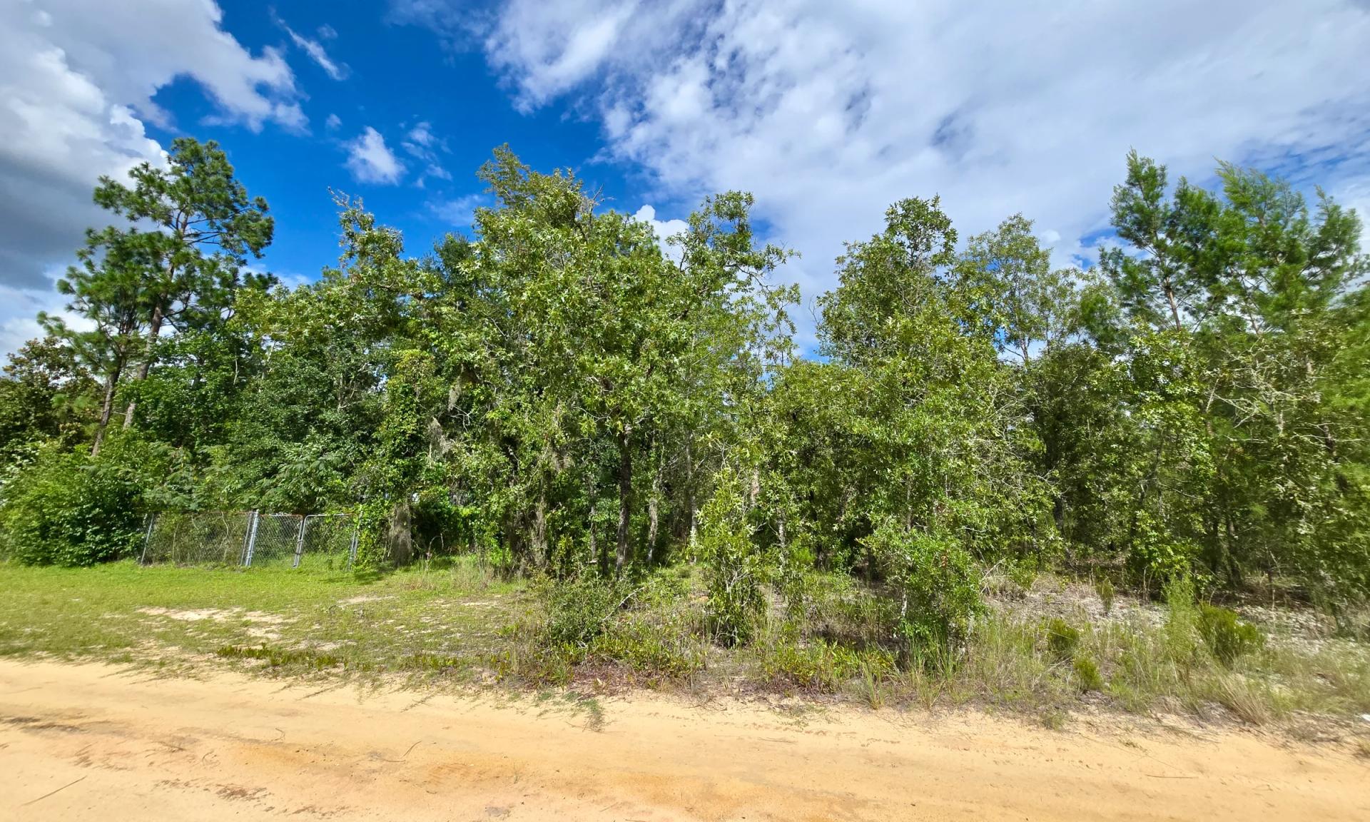SPACE! Lightly wooded Building Lot with access to Power - Image 2