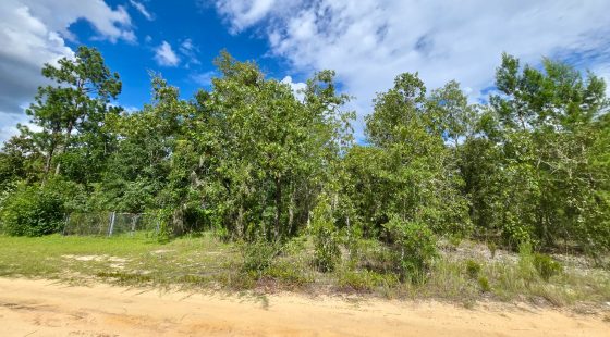 SPACE! Lightly wooded Building Lot with access to Power in Putnam County, FL