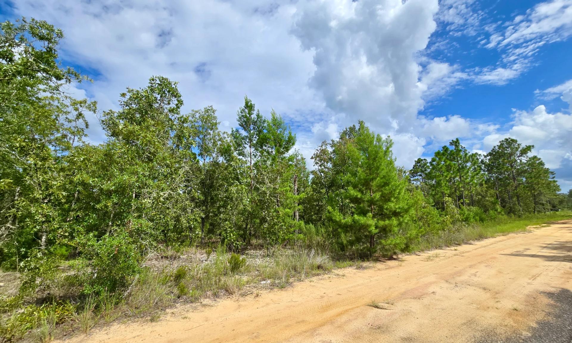 SPACE! Lightly wooded Building Lot with access to Power - Image 3