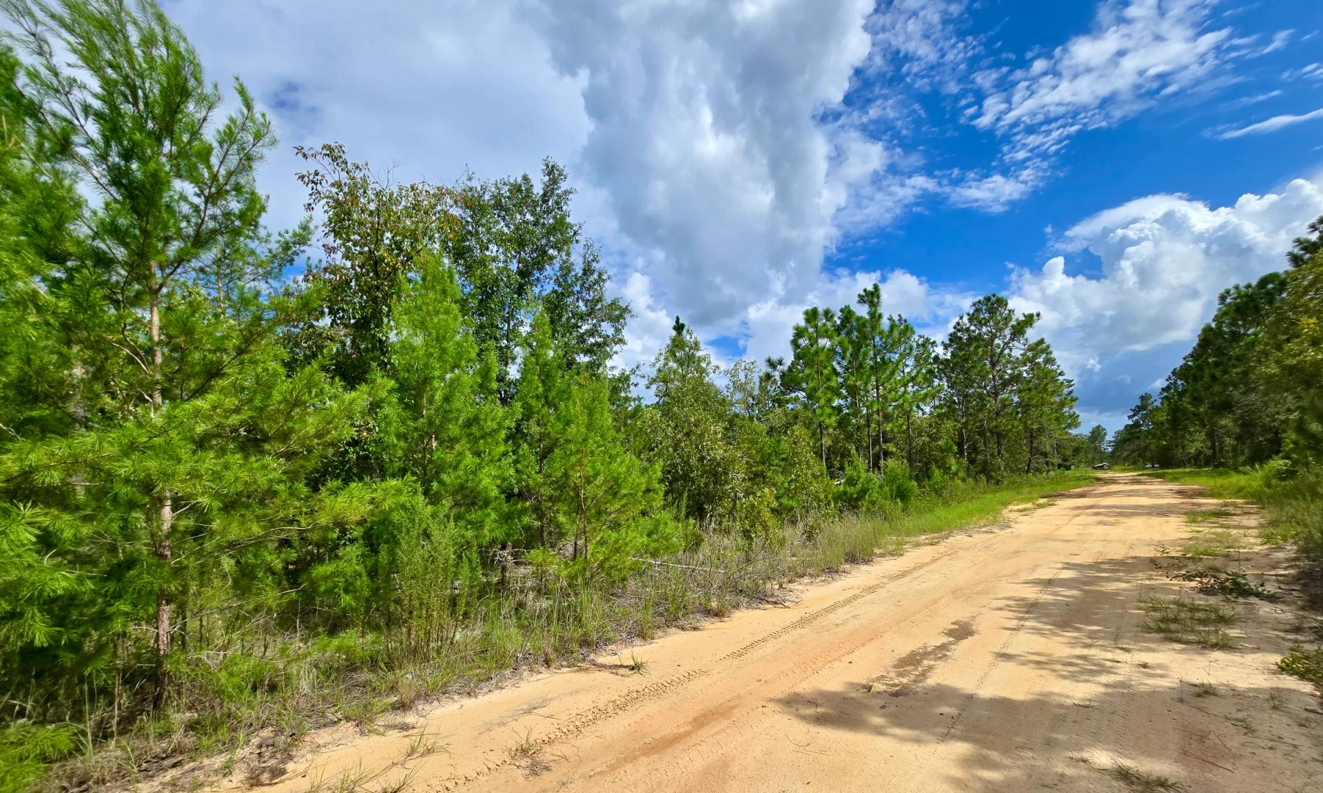 SPACE! Lightly wooded Building Lot with access to Power - Image 4