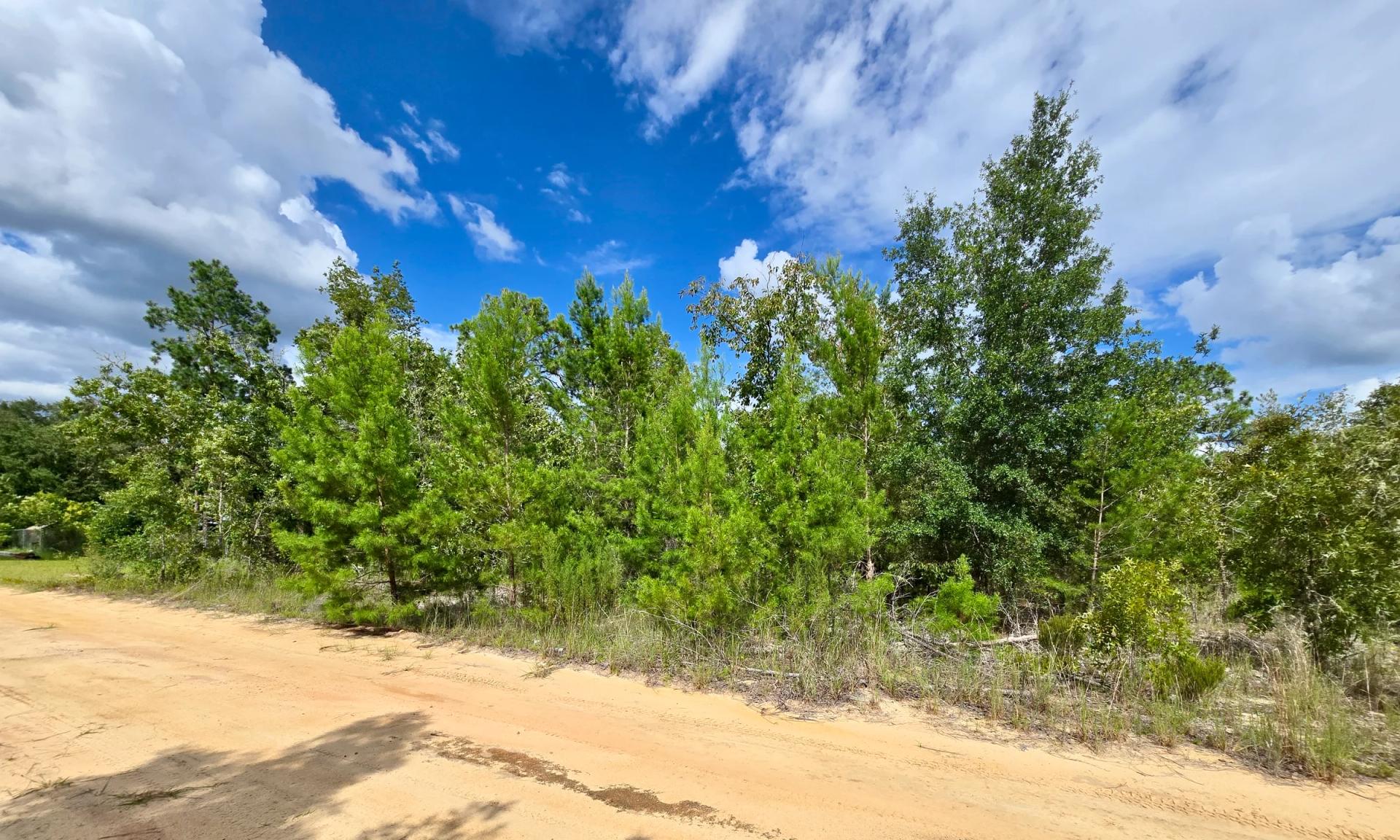 Decorative background for SPACE! Lightly wooded Building Lot with access to Power image 6