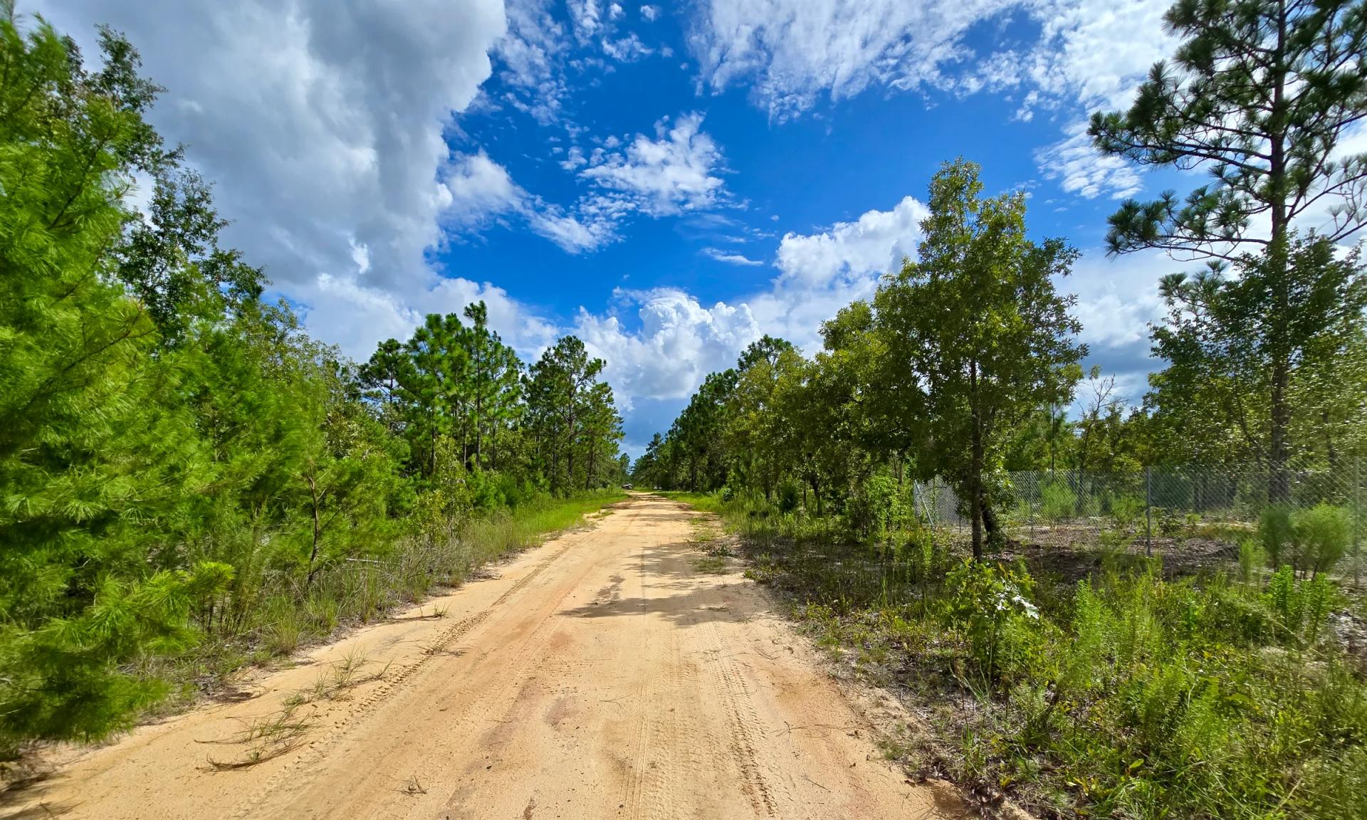 Decorative background for SPACE! Lightly wooded Building Lot with access to Power image 9