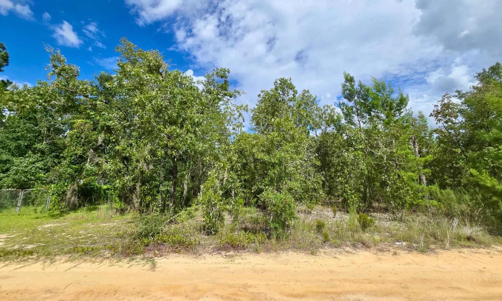 Decorative background for SPACE! Lightly wooded Building Lot with access to Power image 11