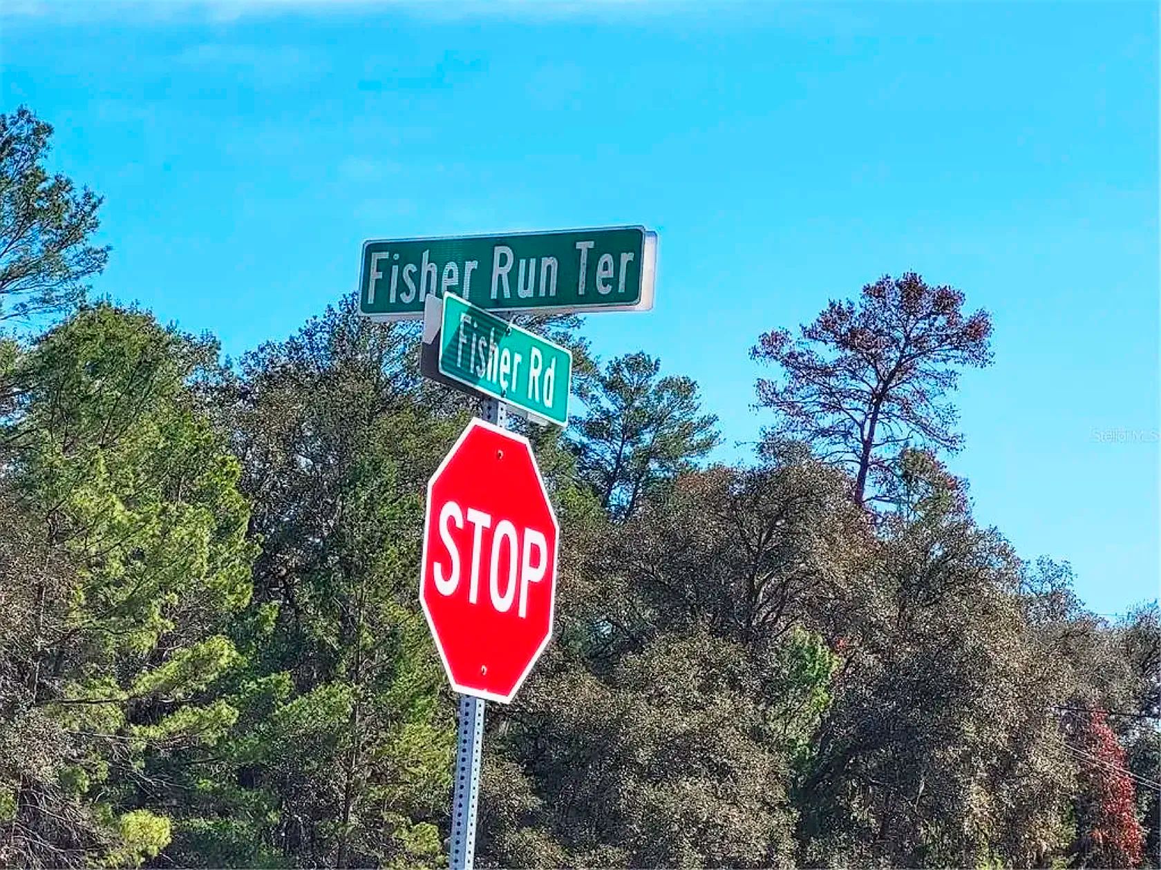 Set Back yet well-connected ¼ ac Lot close to the Ocklawaha River in Marion County, FL