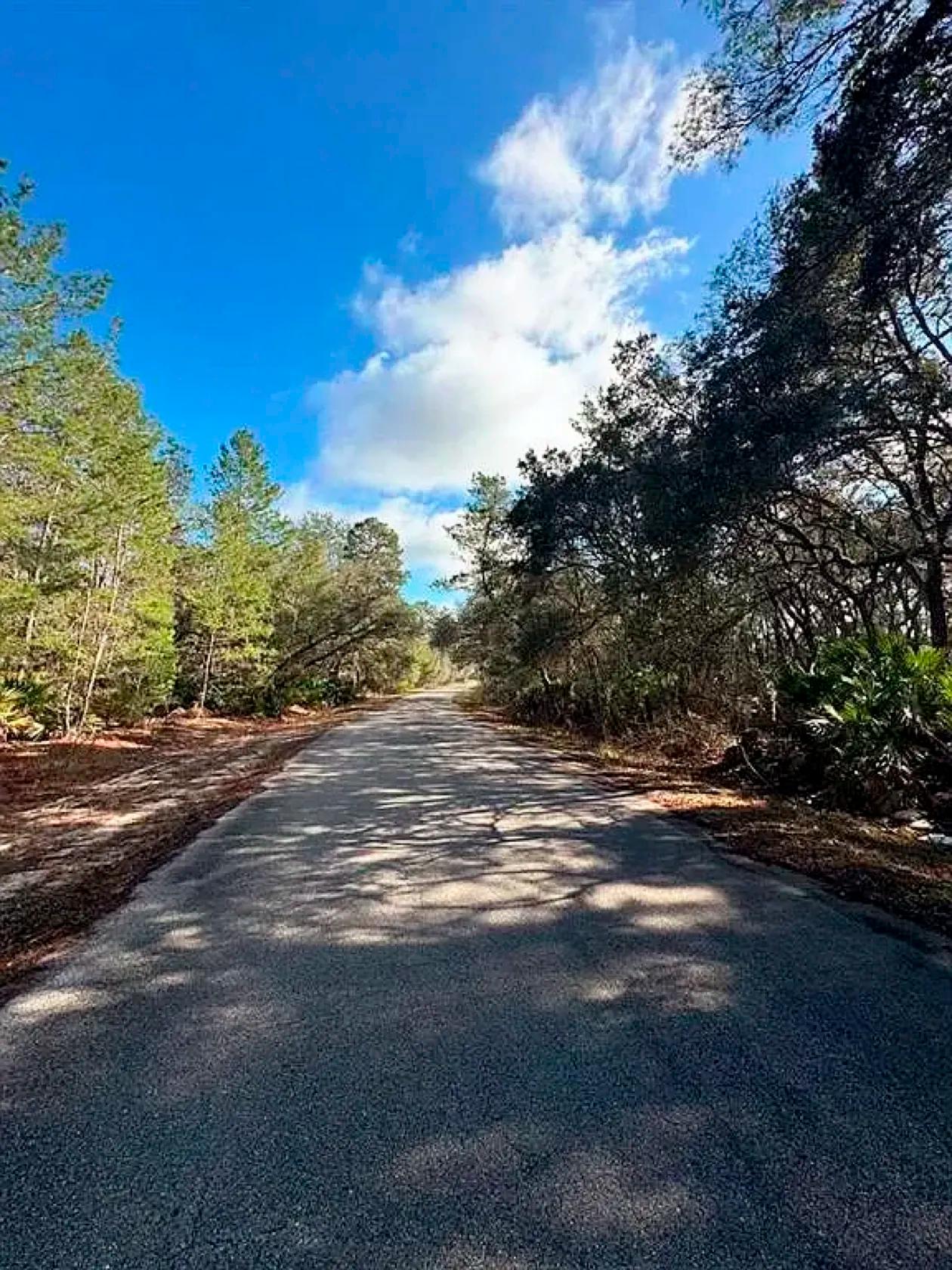 Set Back yet well-connected ¼ ac Lot close to the Ocklawaha River - Image 4