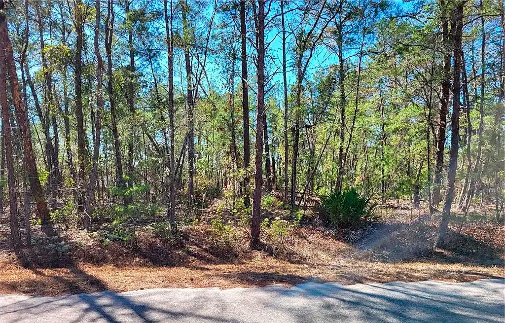 Decorative background for Set Back yet well-connected ¼ ac Lot close to the Ocklawaha River image 5