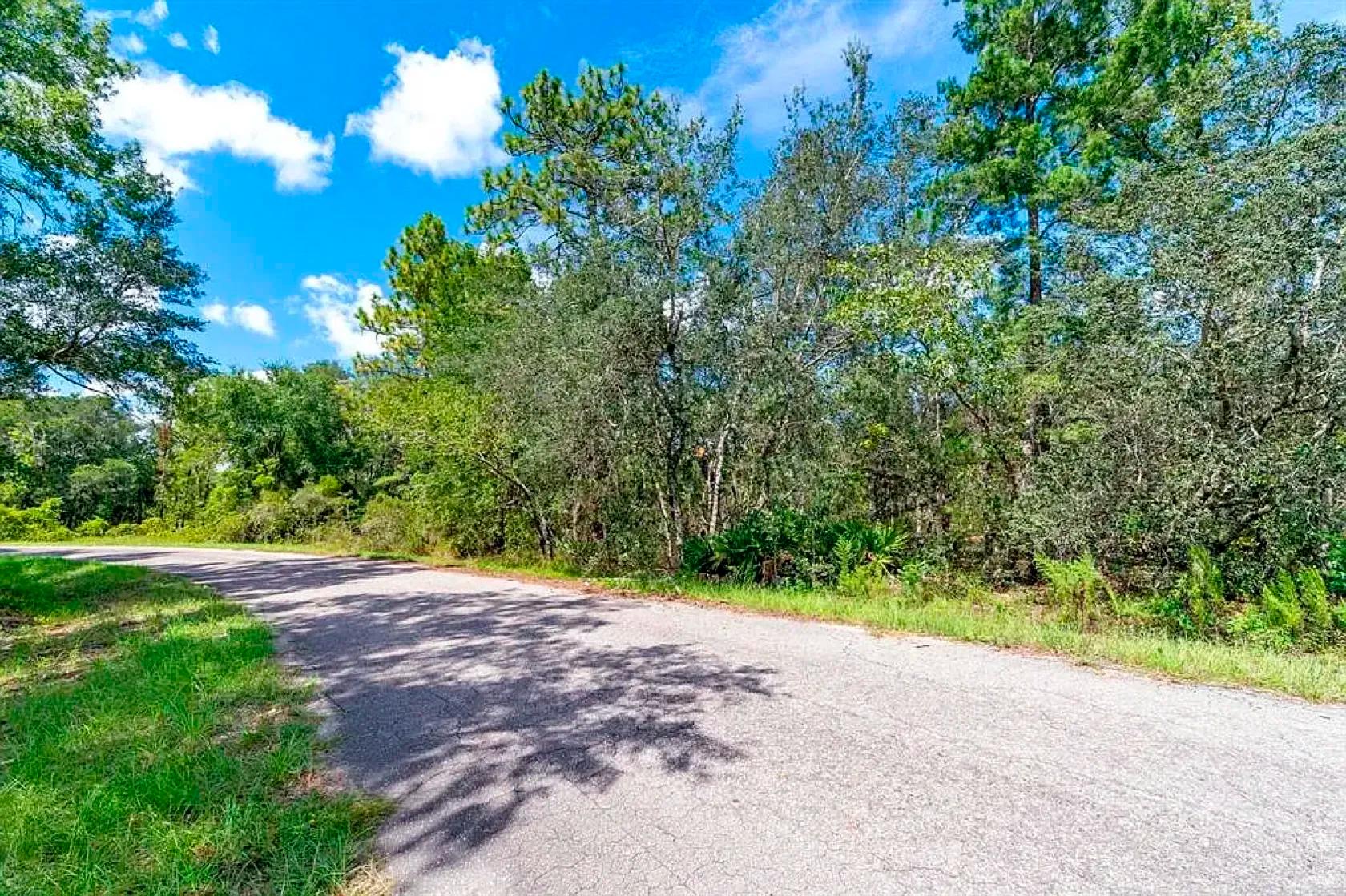 Decorative background for Set Back yet well-connected ¼ ac Lot close to the Ocklawaha River image 6