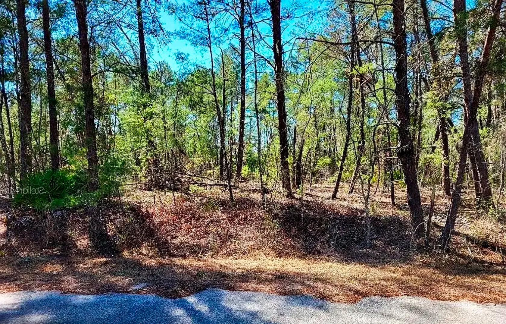 Decorative background for Set Back yet well-connected ¼ ac Lot close to the Ocklawaha River image 7