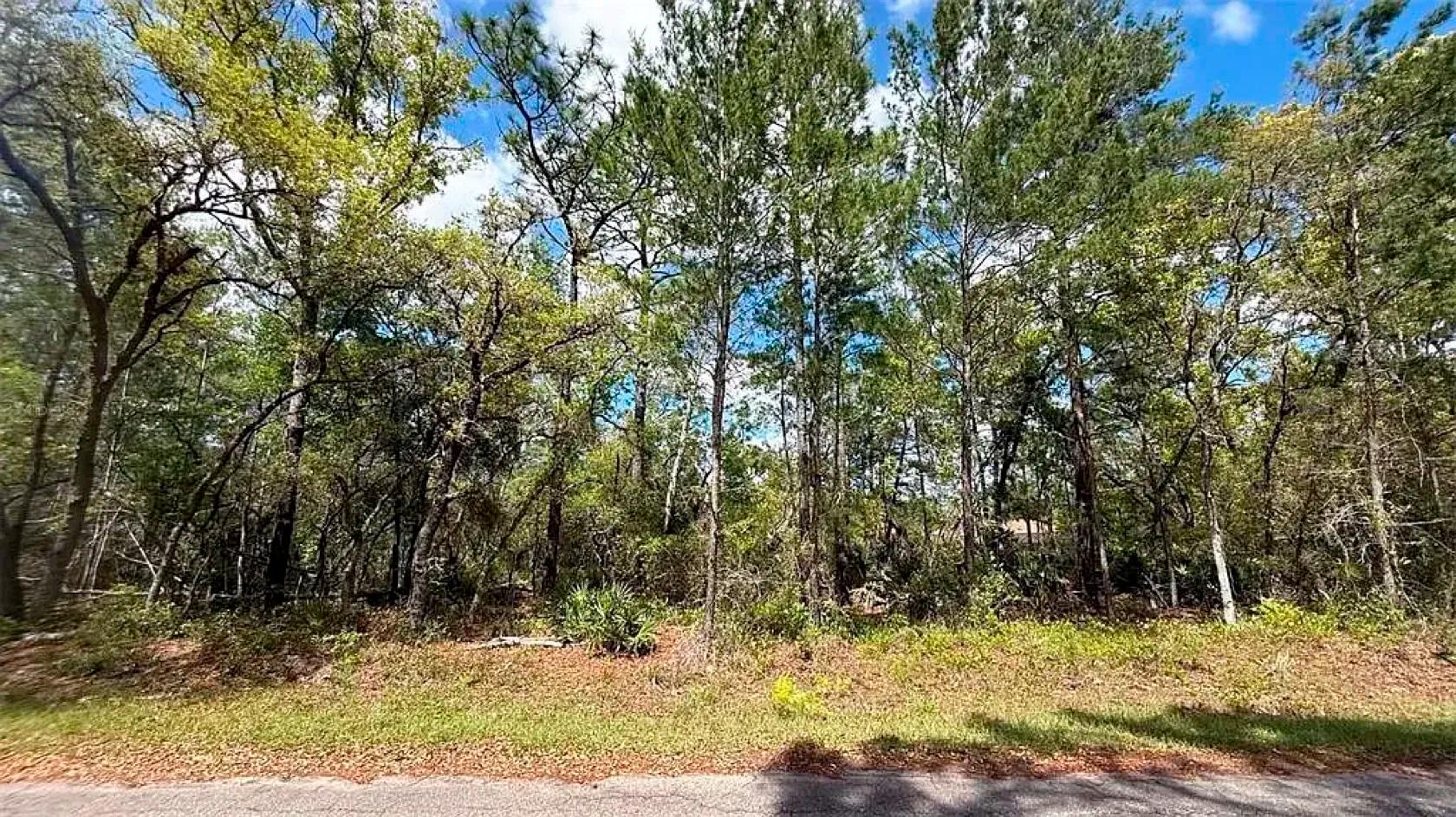 Decorative background for Set Back yet well-connected ¼ ac Lot close to the Ocklawaha River image 9