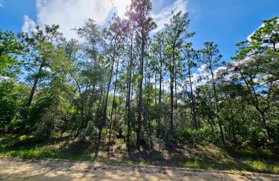 SPACE! Beautiful Double Lot