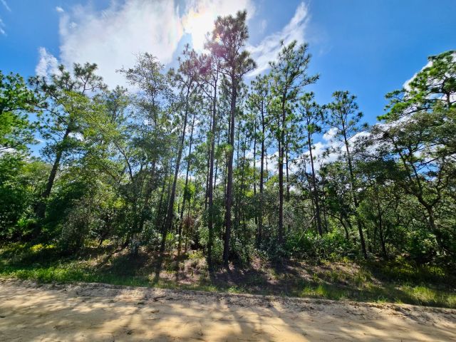 SPACE! Beautiful Double Lot in Putnam County, FL