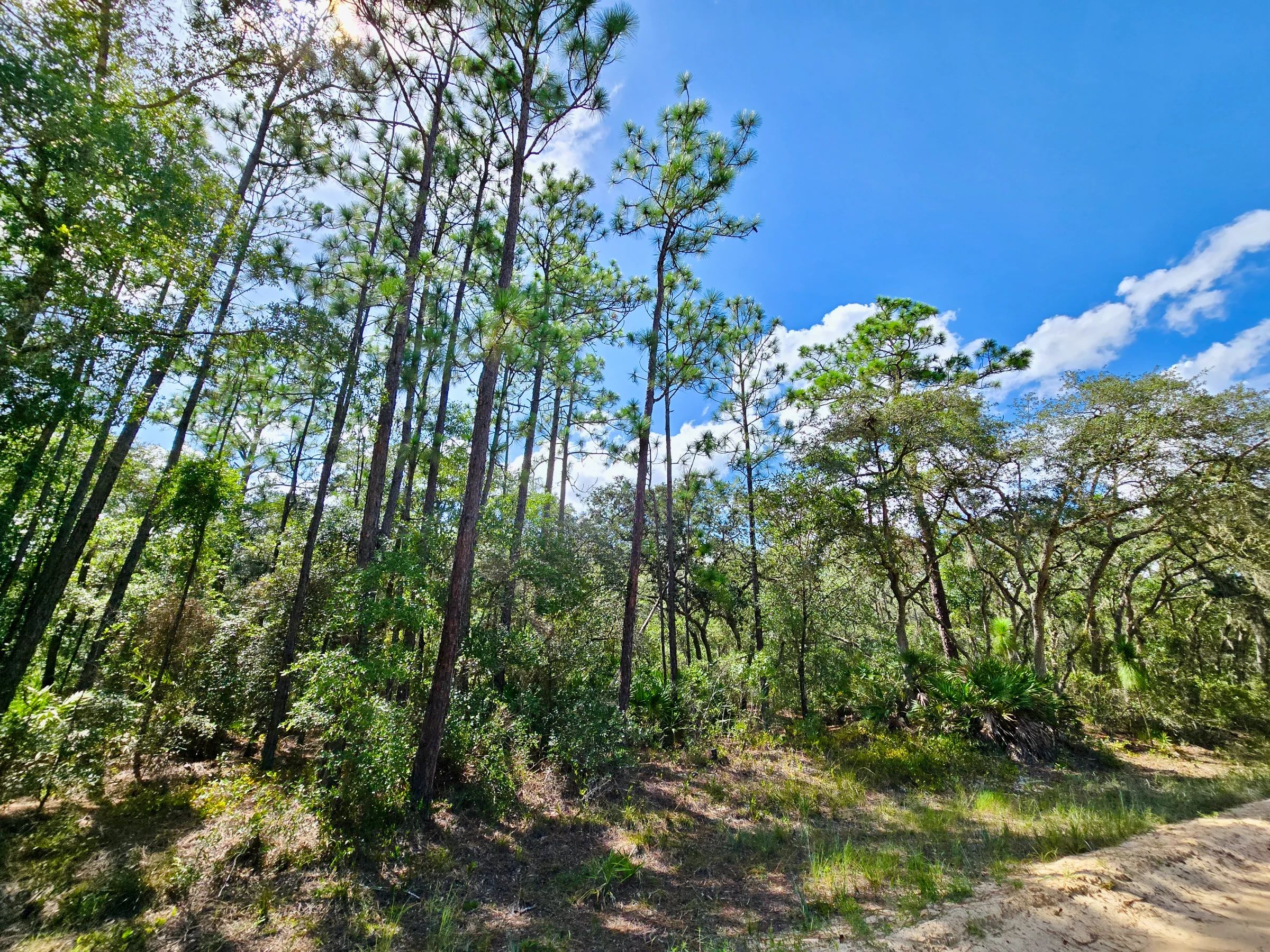 SPACE! Beautiful Double Lot in Putnam County, FL