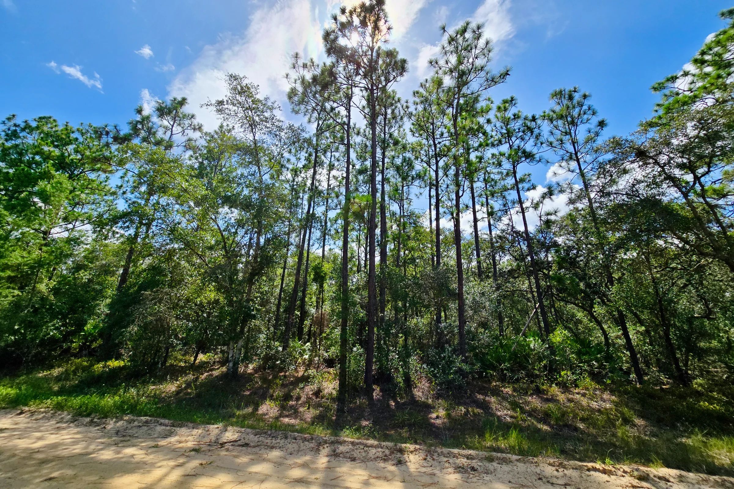 SPACE! Beautiful Double Lot in Putnam County, FL