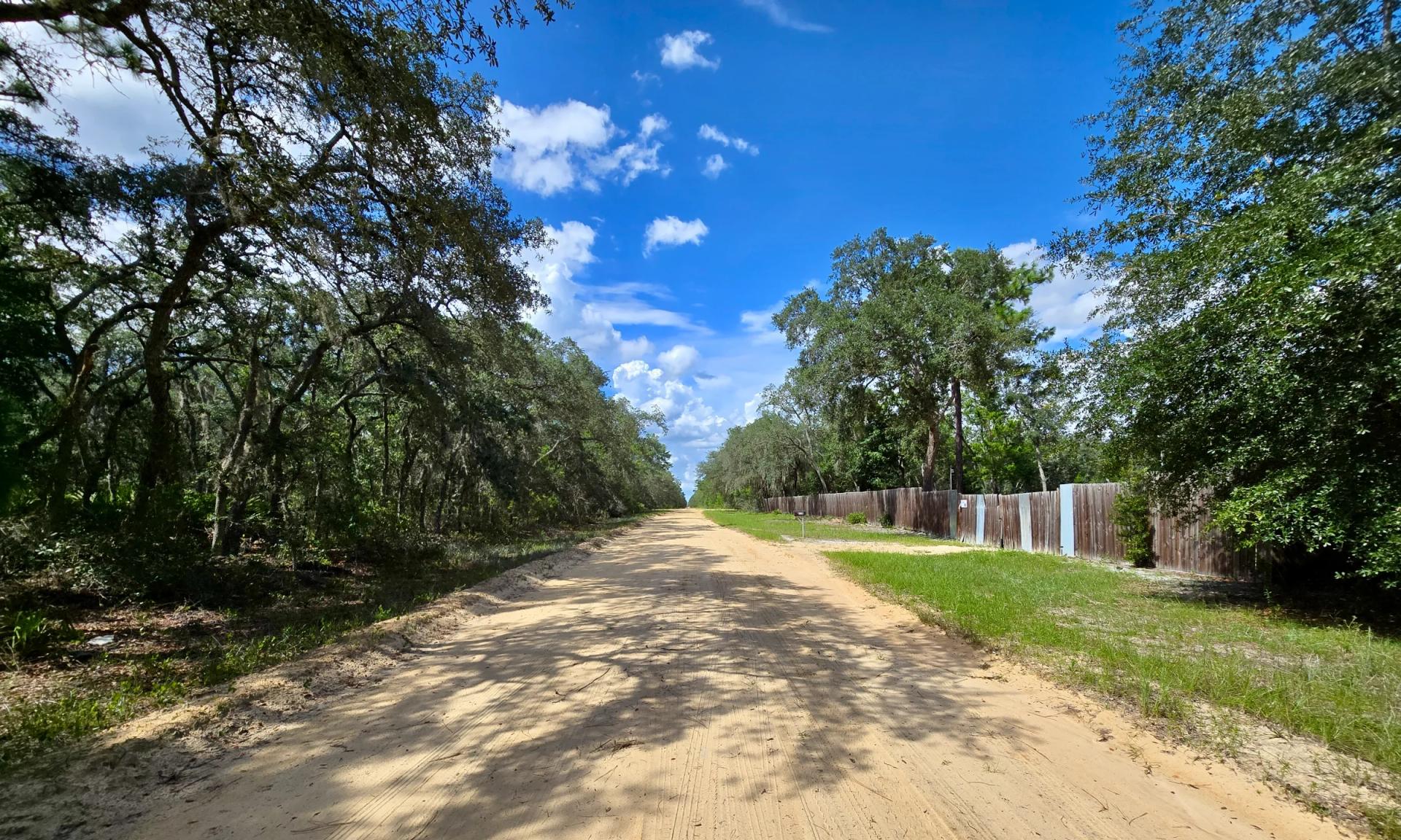 SPACE! Beautiful Double Lot - Image 4