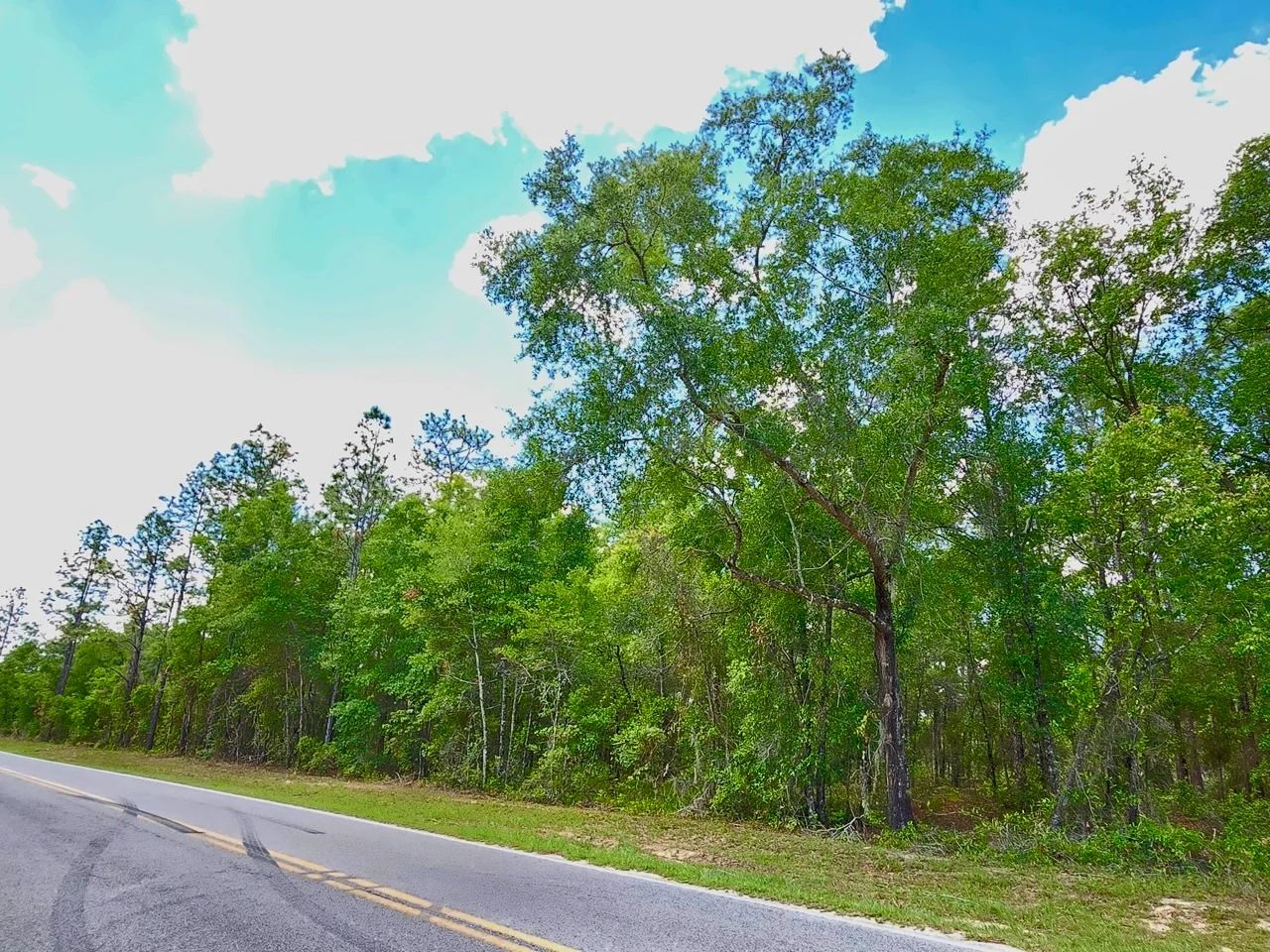 Beautiful Lot at Paved Road in Putnam County, FL