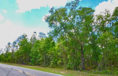 Beautiful Lot at Paved Road