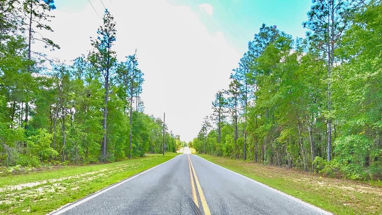 Beautiful Lot at Paved Road - Image 2