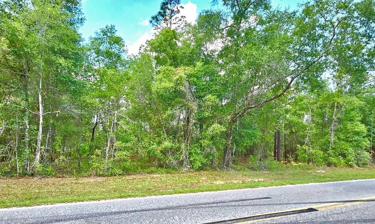 Beautiful Lot at Paved Road - Image 3