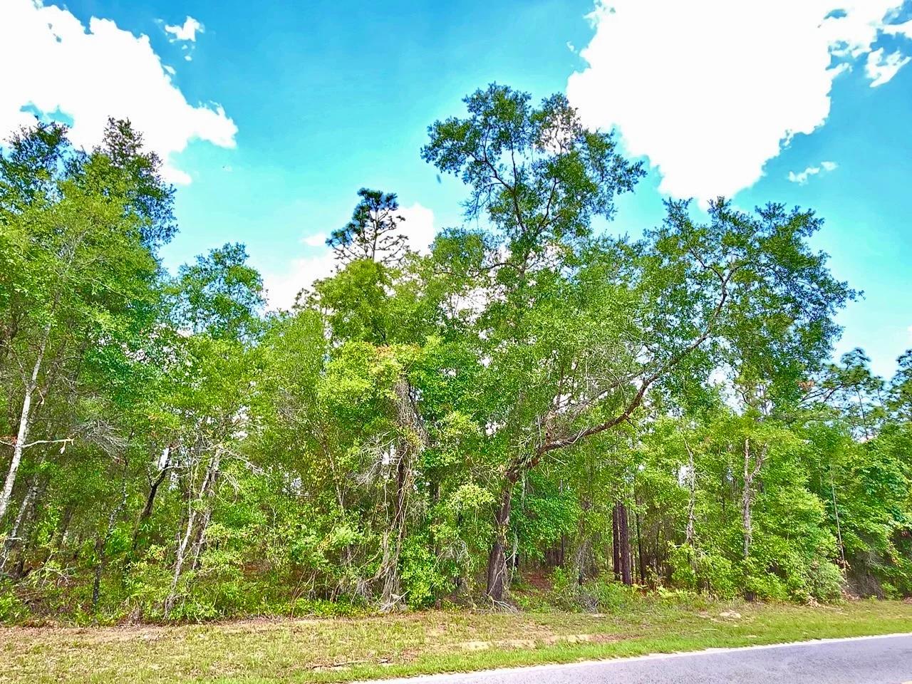 Beautiful Lot at Paved Road - Image 4